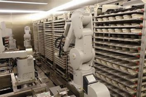 解説!2024年度/省力化・省人化補助金(中小企業省力化投資補助金)